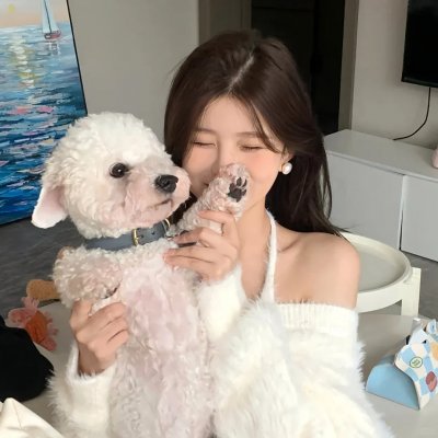 南极料理人